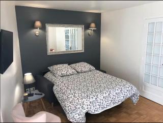 Grand appartement de charme vieux Chinon 11 personnes - Chinon - 2