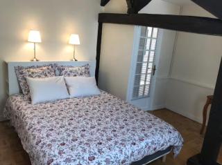 Grand appartement de charme vieux Chinon 11 personnes - 5