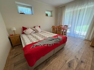 Apartament, Studio, Pokój NAD POTOKIEM - Zakopane - 2