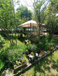 Apartments Gio-Nika - 4