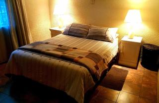 Garden Cottage Sandton - Johannesburg - 2