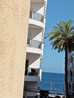 La Casa de Islandia - Torrevieja - 9