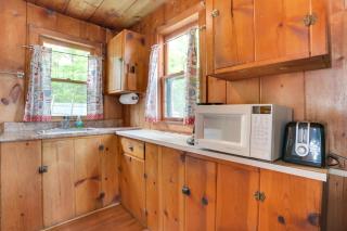 On Lake Huron Pet-Friendly Cabin in Cedarville! - Cedarville - 3
