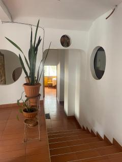 Tierra Santa - Sucre - 4