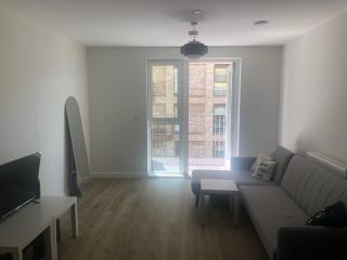 Luxury Double Room featuring comfortable sofa bed to sleep on, private balcony, and exclusive access to rooftop and garden in welcoming shared flat with host - Londra - 9