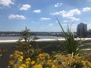 Luxury Double Room featuring comfortable sofa bed to sleep on, private balcony, and exclusive access to rooftop and garden in welcoming shared flat with host - 3