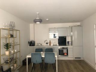 Luxury Double Room featuring comfortable sofa bed to sleep on, private balcony, and exclusive access to rooftop and garden in welcoming shared flat with host - Londra - 0
