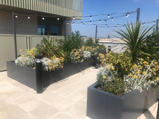 Luxury Double Room featuring comfortable sofa bed to sleep on, private balcony, and exclusive access to rooftop and garden in welcoming shared flat with host - 2