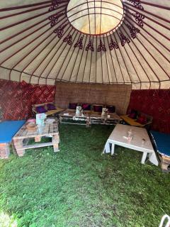Aalam yurt camp Altyn-Arashan - Altynarasan - 6