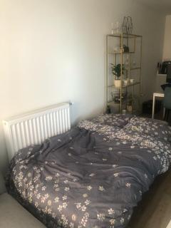 Luxury Double Room featuring comfortable sofa bed to sleep on, private balcony, and exclusive access to rooftop and garden in welcoming shared flat with host - Londra - 6