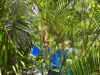 Modern 2BR Apt-3 Baths-Pool-Wi-Fi-Steps to Beach - Playa del Carmen - 1