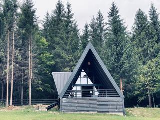 Zuri - - 4