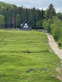 Zuri - - 1