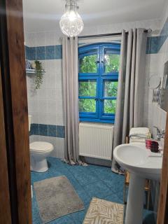 Gasthaus Rokitnik - Rokity - 4