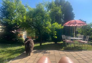 The Nook - Balatonkiliti - Siófok - 5