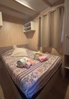 Le Chalet du Bonheur - Puget-sur-Argens - 7