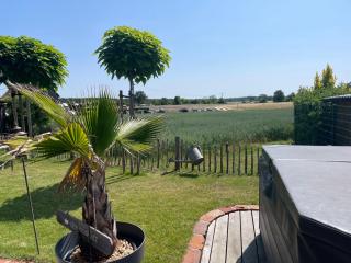 Landliebe, Ferienhaus, 3 Schlafzimmer mit Sauna und Outdoor Whirlpool - Geierswalde - 6