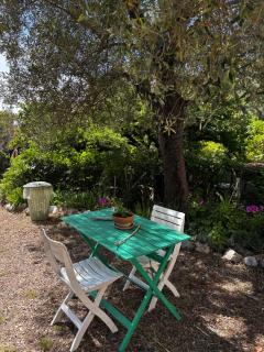 Il Giardino di Casa Maria - Marina di Camerota - 7