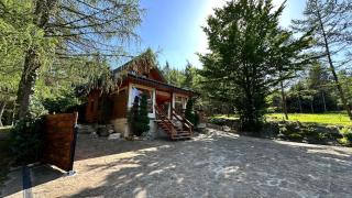 Świerkowe Rancho - 8