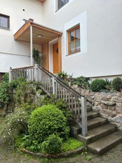Biohof Besenbäck - Rappottenstein - 6