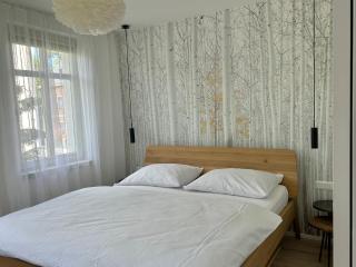 Apartmán U Zlaté břízy Krušné hory - Erzgebirge - 8