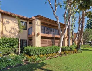Wyndham Dolphin's Cove 1BR Suite with Resort Access - Anaheim - 4