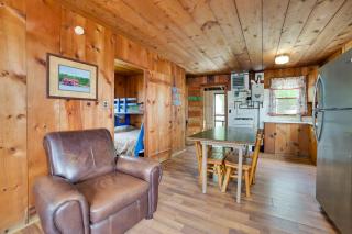 Dock and Beach Access Lakefront Cabin in Cedarville - Cedarville - 3