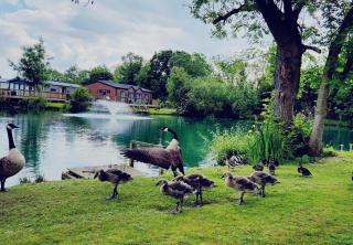 Lakefront Fountain View Lodge 5 Star Country Park S - Amotherby - 3