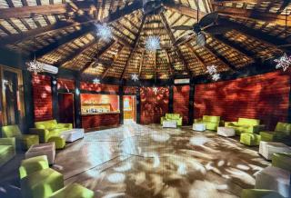 Villa Del Palmar Loreto - Cedro - 6