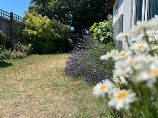 Cosy and convenient family and pet friendly home - Faringdon - 6