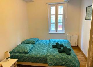 Cosy T3 Vannes - Vannes - 7