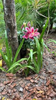 Refúgio com Pé na Areia - 8