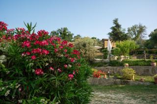 Appartamento Locazione Turistica L'Antica Sorgente Panicale - Panicale - 4