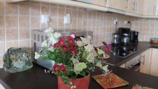 Chalkida Sea View Residence - Nea Artaki - 4