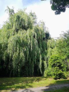 Gite Laffour - 6