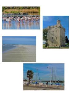 Studio - Port-Saint-Louis-du-Rhône - 1