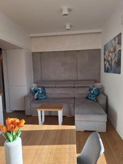 Apartament Widokowa 13-stka z widokiem na Stadion Śląski i Park Śląski, 13 piętro, parking podziemny free - Katowice - 3