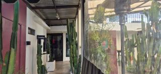 Coyote Lofts-Estacion Federal - Tijuana - 4