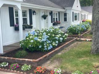 Cape Cod Motor Inn - South Yarmouth - 5
