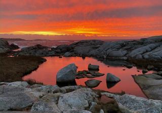 Meg Inn Peggys Cove - Peggy's Cove - 4