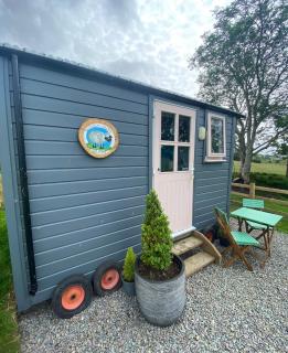 Wooly Huts Grey - Westport - 0