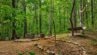 Serenity Escape Treehouse on 14 acres near Little River Canyon - Fort Payne - 8