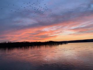 BurgBnB Riverfront - 9