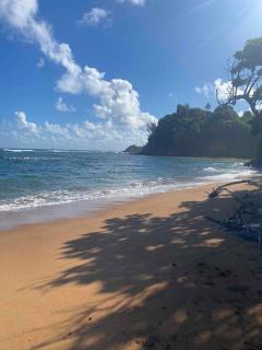 Spacieux 77m2 les pieds dans l'eau, à la plage d'Anse à L'Ane - 1