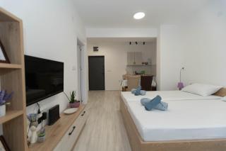 Milenkovic Apartments - Gevgelija - 5