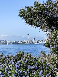 Amazing Rooftop View in heart of Seattle - Townhome with WiFi, AC - Seattle - 4