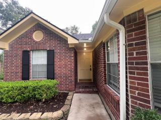 Outstanding house in Spring, Texas - 2