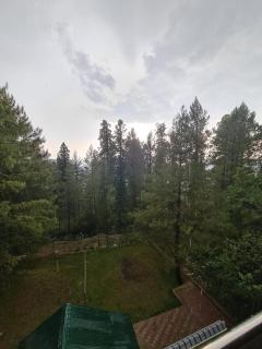 Cottage in Changla Gali - Secluded, Cozy Apartment - Chāngla Gali - 4