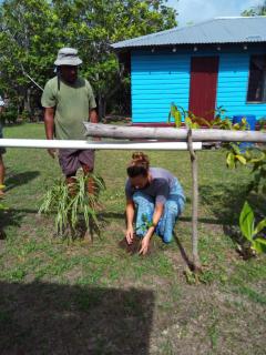 Evidan Homestay - Naisisili - 1