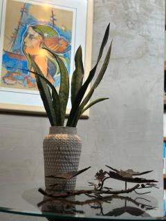 Flor da Serra - 1